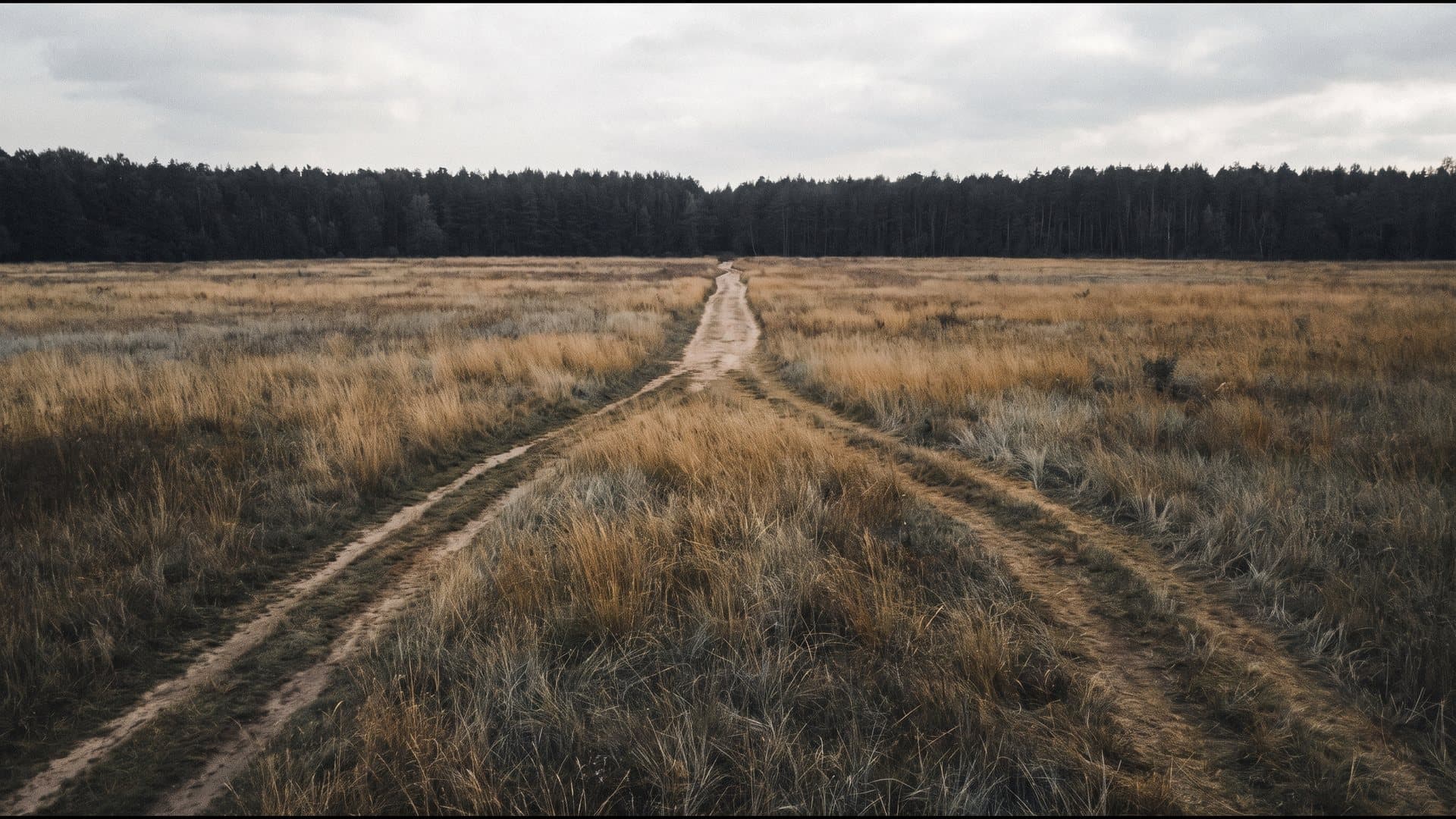 Two worn footpaths through a meadow that begin at different points and merge into one path leading to the horizon.